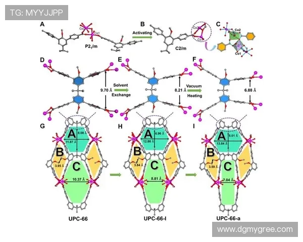 法甲外援适应期表现分析及适应策略探讨