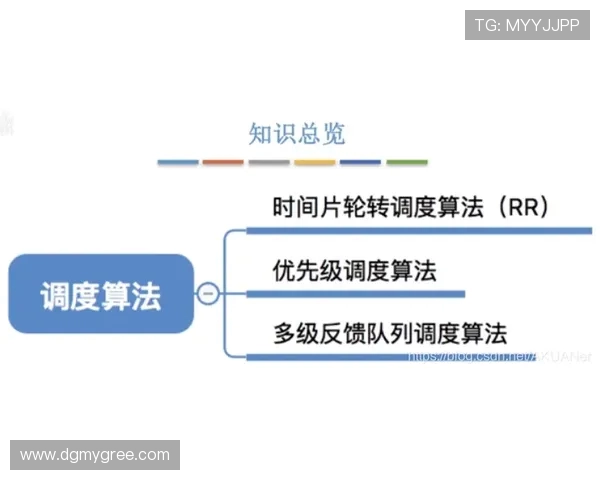 法甲球员个人表现反馈机制与教练组调度影响分析